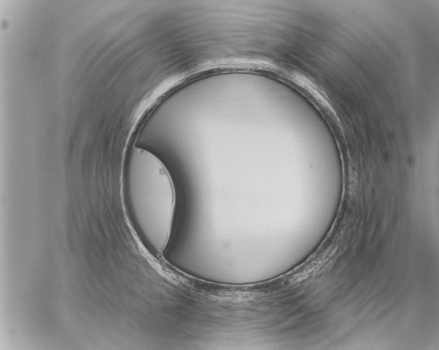 X0000059061237200510171931