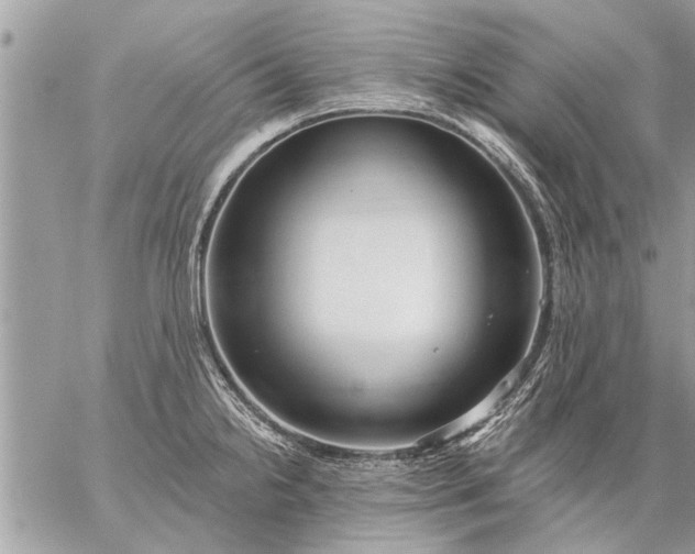 X0000059061238200510171931