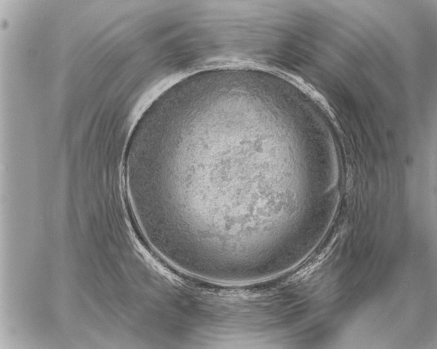 X0000059061239200510171931