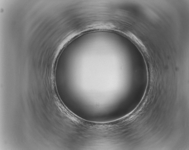 X0000059061240200510171931