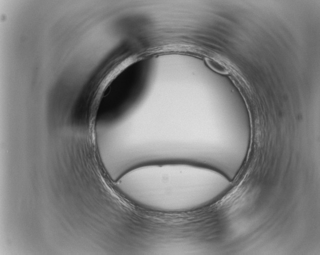 X0000059061241200510171931