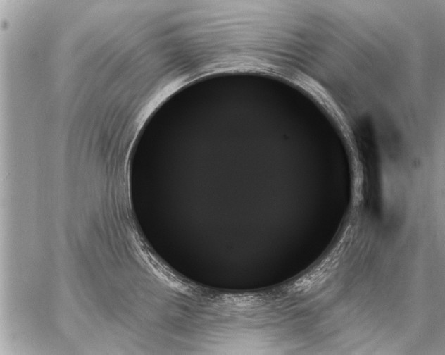 X0000059061242200510171931