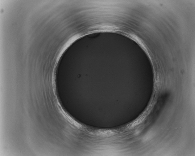 X0000059061243200510171931