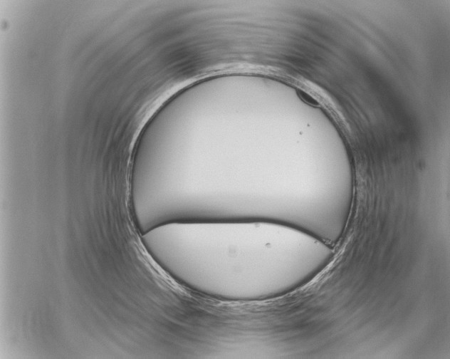 X0000059061244200510171931