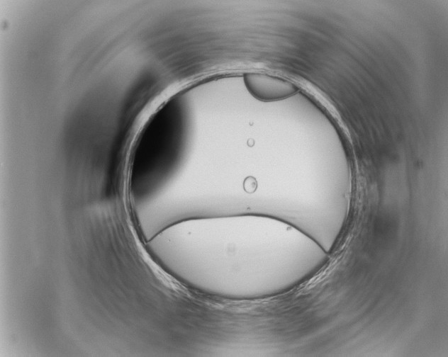 X0000059061245200510171931