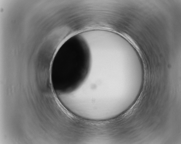 X0000059061246200510171931