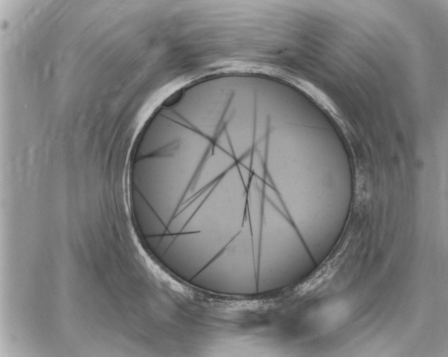 X0000059061247200510171931