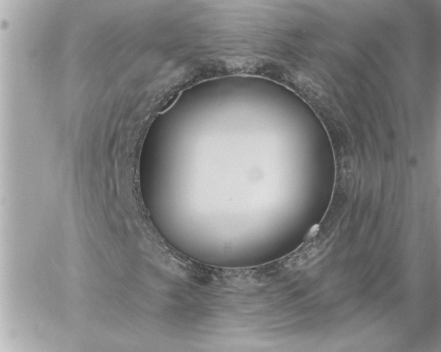 X0000059061249200510171930