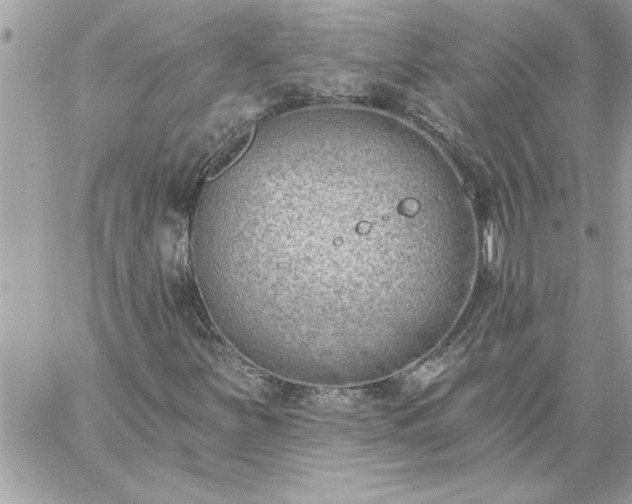 X0000059061251200510171930