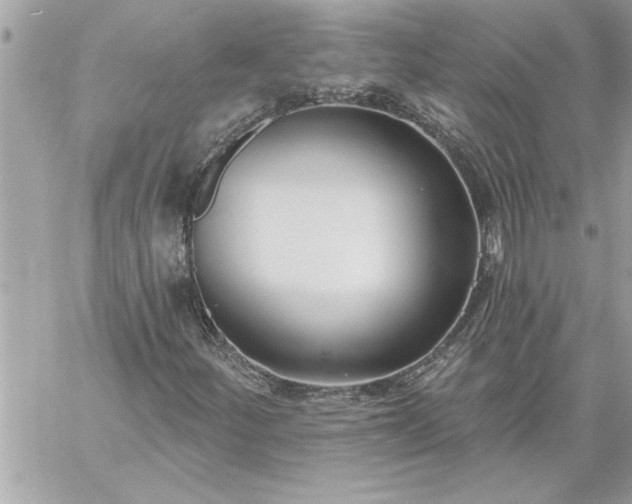 X0000059061252200510171930