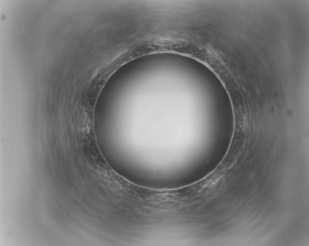 X0000059061253200510171930