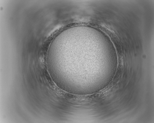 X0000059061254200510171930