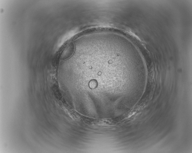 X0000059061255200510171930