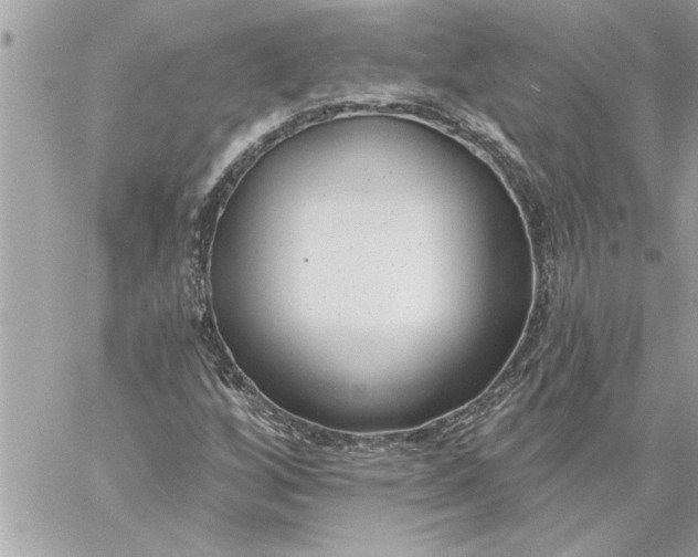 X0000059061256200510171930