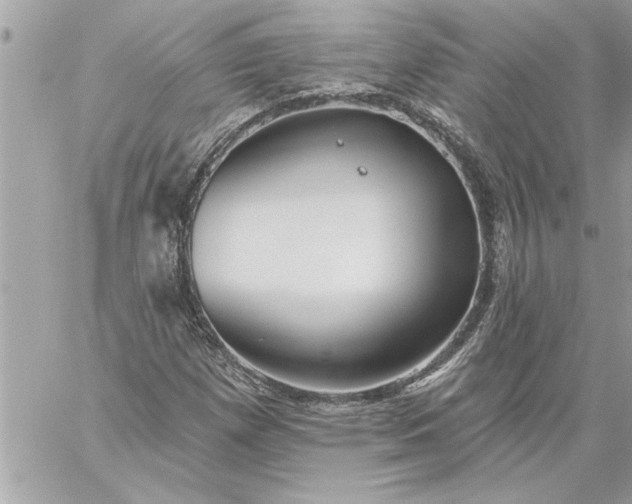 X0000059061257200510171930