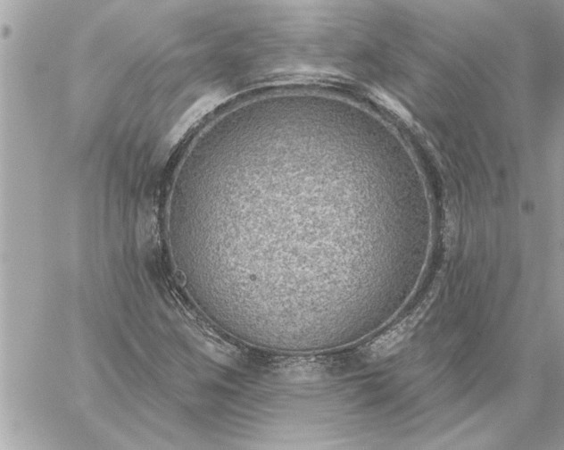 X0000059061259200510171930