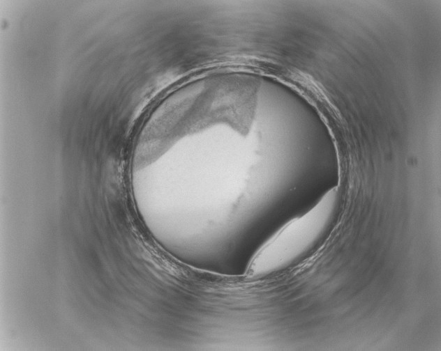 X0000059061260200510171930