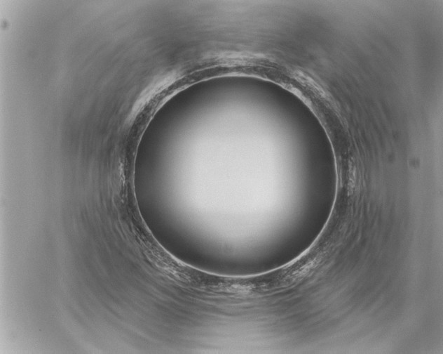 X0000059061261200510171930