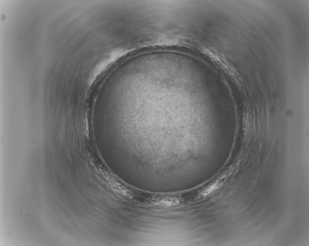 X0000059061262200510171930