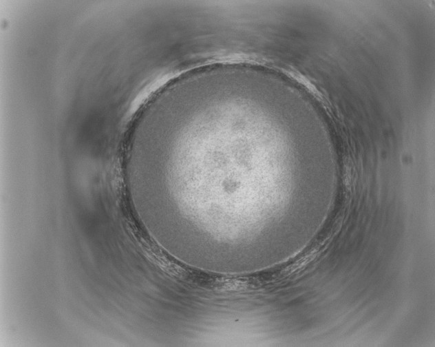 X0000059061263200510171930