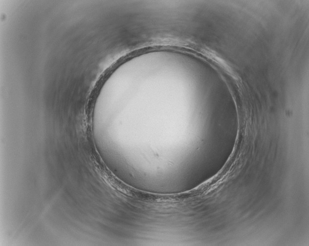 X0000059061264200510171930