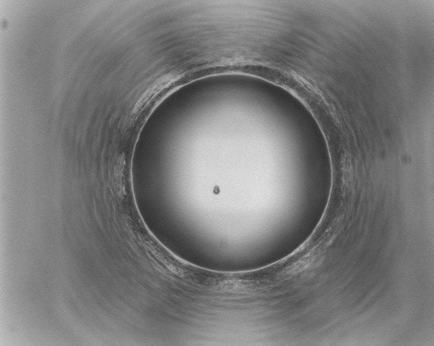 X0000059061265200510171930