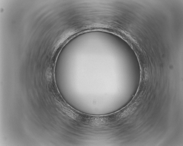 X0000059061266200510171930