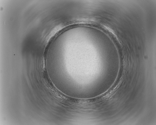 X0000059061267200510171930