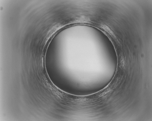 X0000059061268200510171930