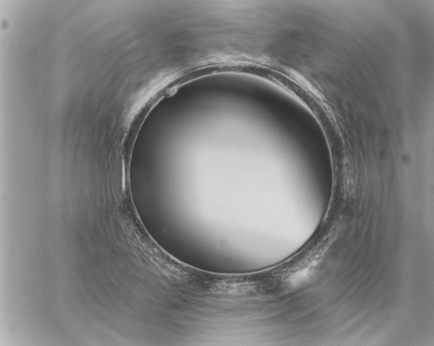 X0000059061269200510171930