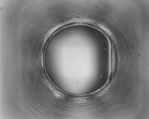 X0000059061272200510171930