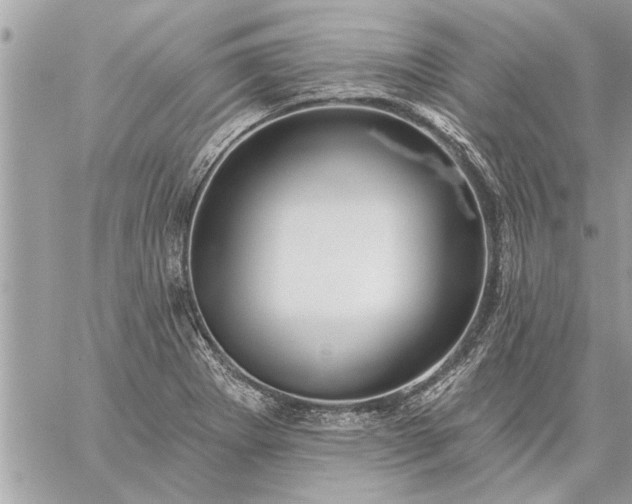 X0000059061273200510171930