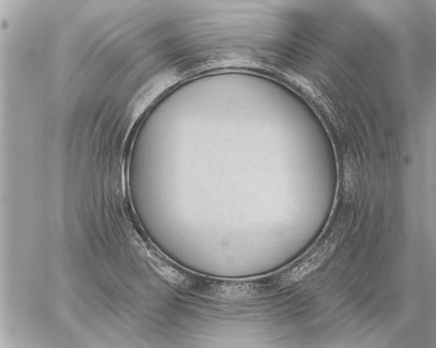 X0000059061274200510171930