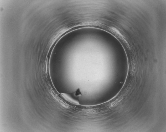 X0000059061276200510171930