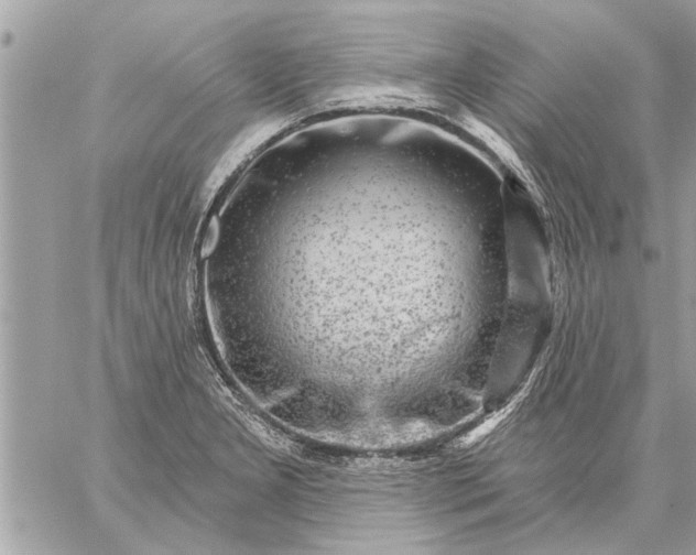 X0000059061277200510171930