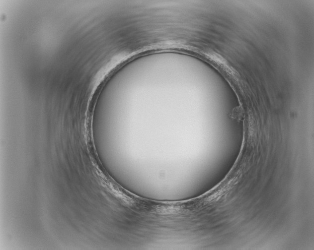 X0000059061278200510171930