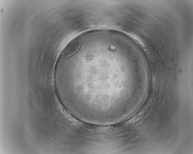 X0000059061279200510171930