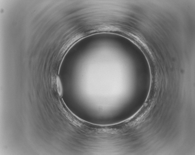 X0000059061281200510171930