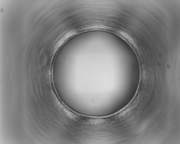 X0000059061282200510171930