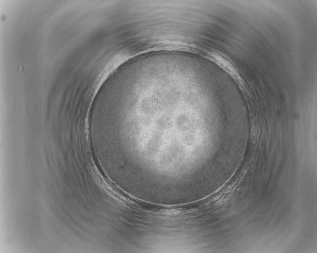 X0000059061283200510171930