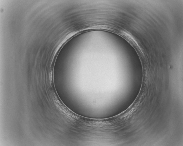 X0000059061284200510171930