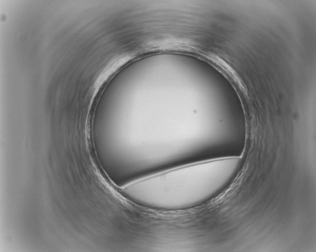 X0000059061285200510171930