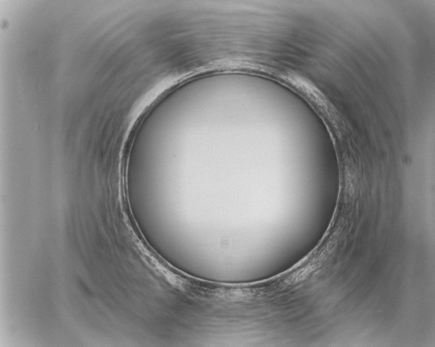 X0000059061286200510171930