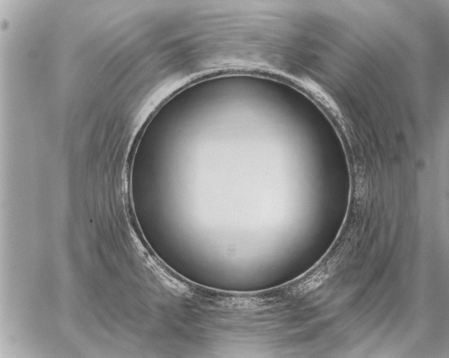 X0000059061287200510171930