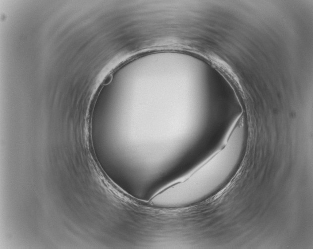 X0000059061288200510171930