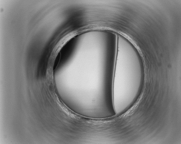 X0000059061289200510171930