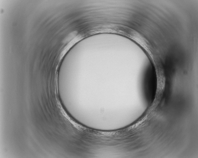 X0000059061290200510171930