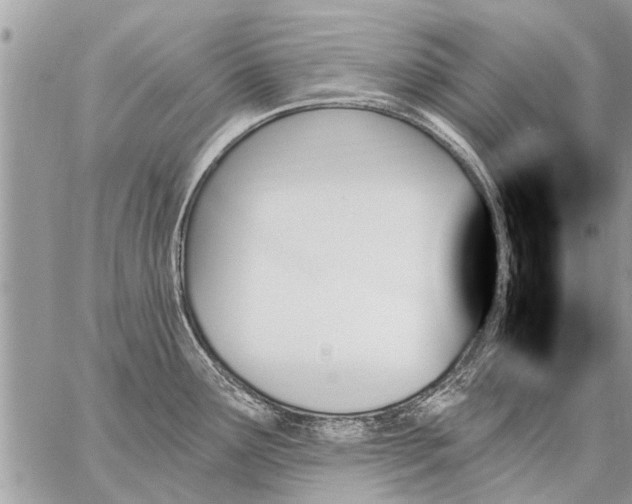 X0000059061291200510171930