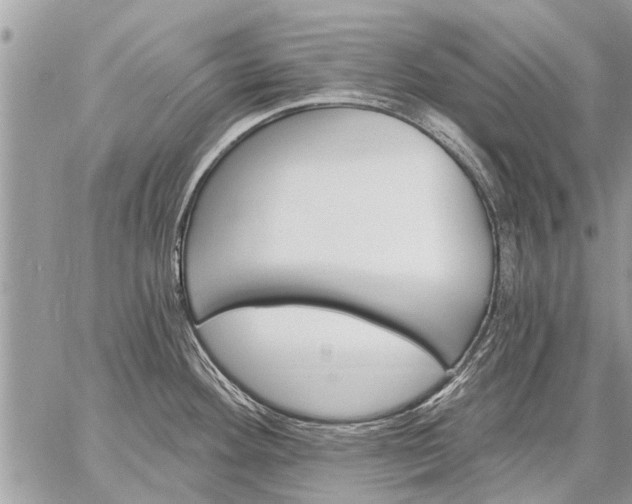 X0000059061292200510171930