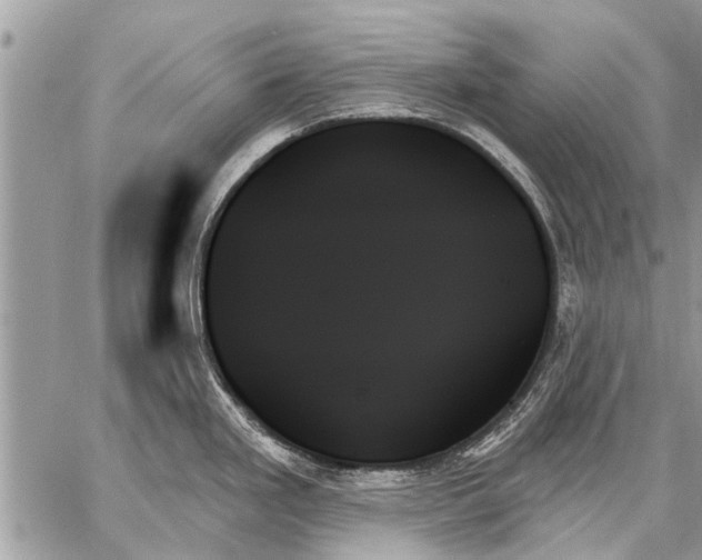 X0000059061293200510171930